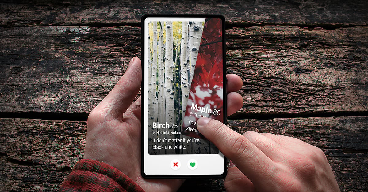 Hands holding a smartphone displaying a tree identification app, showing birch and maple details with a swipe selection feature.
